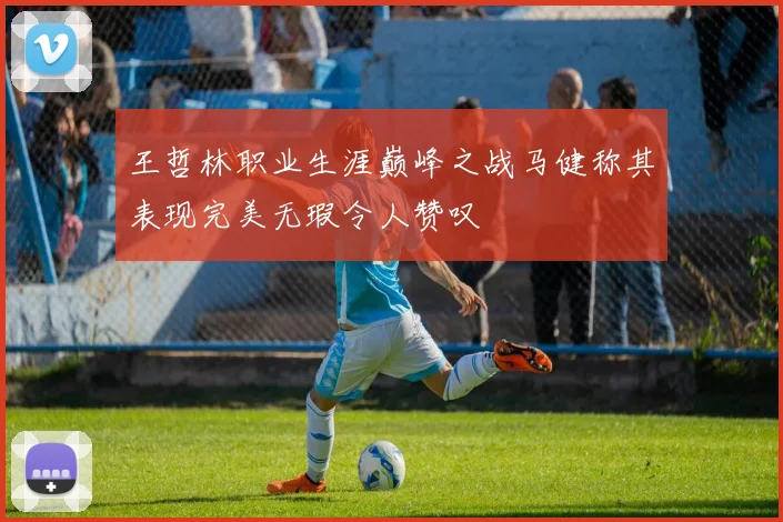 王哲林职业生涯巅峰之战马健称其表现完美无瑕令人赞叹